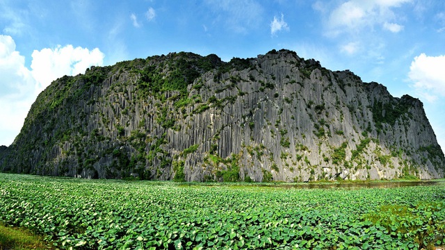 Hệ sinh thái đa dạng, phong phú, phong cảnh tuyệt đẹp ở đầm Vân Long, Ninh Bình.